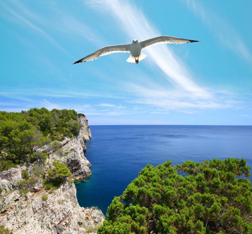 Pansion Alen - Dugi Otok Bed & Breakfast Luka  Eksteriør bilde