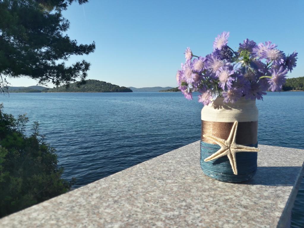 Pansion Alen - Dugi Otok Bed & Breakfast Luka  Eksteriør bilde