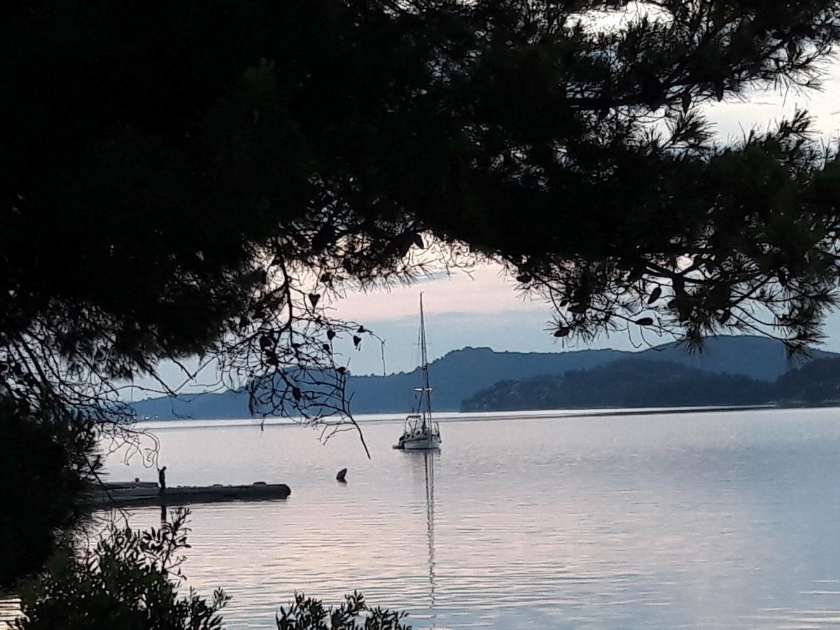 Pansion Alen - Dugi Otok Bed & Breakfast Luka  Eksteriør bilde